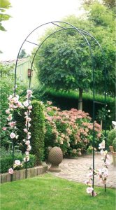 Kinzo PREGOLA NA RÓŻE KINZO 2