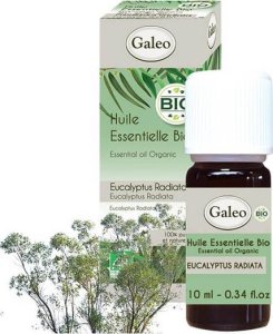 Galeo Olejek eteryczny BIO z eukaliptusa australijskiego Galeo 10 ml 1