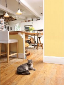 vidaXL PetSafe Odstraszacz zwierząt domowych w sprayu Ssscat, 1 m 2