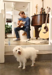 vidaXL PetSafe Odstraszacz zwierząt domowych w sprayu Ssscat, 1 m 3