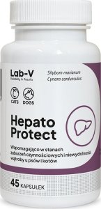 LAB V LAB-V Hepato Protect  Wspomaganie funkcji wątroby dla psów i kotów 45 kapsułek 1