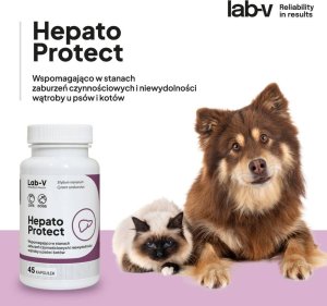 LAB V LAB-V Hepato Protect Wspomaganie funkcji wątroby dla psów i kotów 45 kapsułek 2