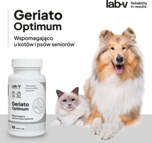 LAB V LAB-V Geriato Optimum  Wspomaganie zdrowia seniorów dla psów i kotów 45 kapsułek 4
