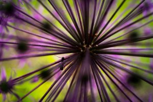 Obiektyw Tamron Tamron 50-400mm F/4,5-6,3 Di III VC VXD for Nikon Z 4