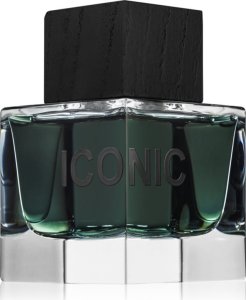 Aurora Aurora, Iconic, Eau De Parfum, For Men, 100 ml For Men 1