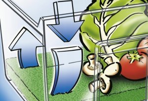 Wenko Mata antypleśniowa, antybakteryjna do lodówki, WENKO 4