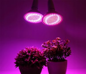 Heckermann Żarówka LED plant Heckermann 200LED 18WLED - 20W 3