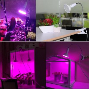 Heckermann Żarówka LED plant Heckermann 200LED 18WLED - 20W 6