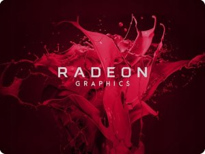 Laptop HP HP INC Notebook 465G11 R7-7735U/16''/16/512/W11P/3YROS 10