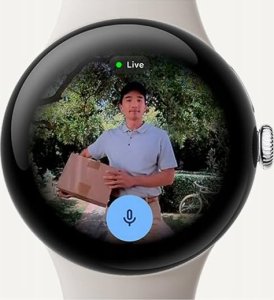 Smartwatch Google Pixel Watch 3 (45mm) WiFi obsidian 9