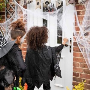 Springos Dekoracja na Halloween pajęczyna z 2 pająkami 60g ozdoba sieć pajęcza 3,5 m UNIWERSALNY 3