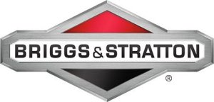 Briggs & Stratton ŚWIECA ZAPŁONOWA BRIGGS&STRATTON TRAKTORY SILNIKI GÓRNOZAWOROWE 5