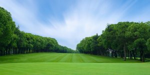 Viano VIANO TURFPROF AUTUMN RC 5-5-20 (+3) 25KG 9