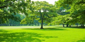 Viano VIANO TURFPROF AUTUMN RC 5-5-20 (+3) 25KG 10