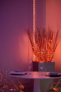 Lampki choinkowe Twinkly Twinkly Dots Garland Wielobarwny G 11
