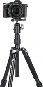 Statyw Fotopro Statyw Fotopro X-go Gecko E2 z głowicą kulową FPH-42QP 20