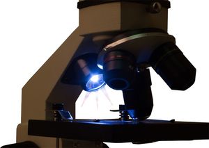 Mikroskop Levenhuk Mikroskop Levenhuk Rainbow 2LPLUS kamień księzycowy - 69116 4