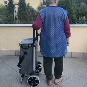 Gardlov Wózek transportowy składany Malatec 12