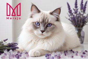 Żwirek dla kota Mersjo Żwirek silikonowy dla kota lawendowy Lawenda 3,8L 9