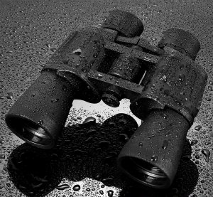 Lornetka Severno Lornetka myśliwska wodoodporna 20 x 50 mm NORDIC BaK-4 +etui 4