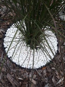 GardenPlus Obrzeże trawnikowe 40mm ogrodowe chodnikowe w rolce 19