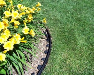 GardenPlus Obrzeże trawnikowe 40mm ogrodowe chodnikowe w rolce 22