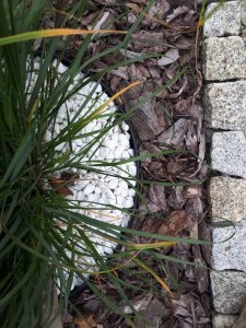 GardenPlus Obrzeże trawnikowe 40mm ogrodowe chodnikowe w rolce 34