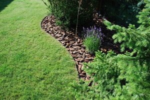 GardenPlus Obrzeże trawnikowe 40mm ogrodowe chodnikowe w rolce 41