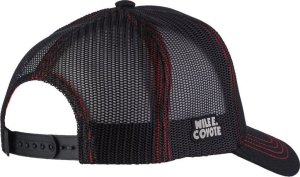 Capslab Capslab Freegun Looney Tunes Trucker Cap CL-LOO-1-TAZ1 Czarne One size 2