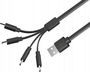 Kabel USB LiiBateries USB-C - USB-C Czarny (9331816667127) 2