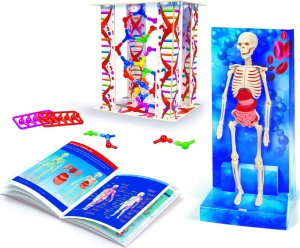 Clementoni Zestaw eksperymentów Ciało człowieka 2