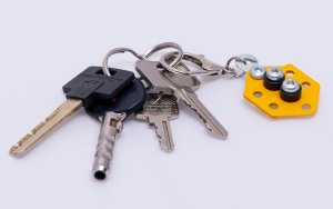 Alexander BRELOK DO SKREC MET PSZCZOLA 15WZOR 8X2X18 ALX P 7