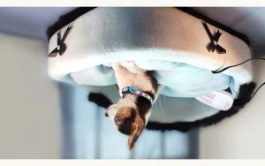 Suszarka do butów Smart Hardware ELEKTRYCZNA SUSZARKA DO BUTÓW 3 TRYBY CZARNO POMARAŃCZOWA 5