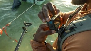 GoPro GoPro® | Magnetic Latch Mount 6