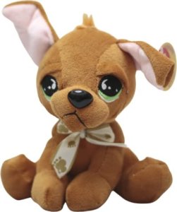 Dromader PIESKI WIELKOOKIE Z KOKARDKĄ ŚREDNIE 2