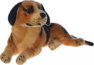 Dromader PIES RASOWY 2