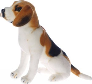 Dromader PIES RASOWY 3