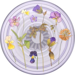 PopSockets Uchwyt i podstawka do telefonu PlantCore Grip Purple Fields 806198 7