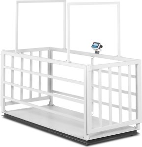 TEM Waga weterynaryjna platformowa inwentarska z klatką dla zwierząt 3000/1 kg 110x240 cm LCD 2