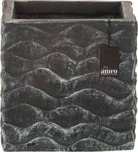 Aluro Donica NEIRA - M_ALURO 1