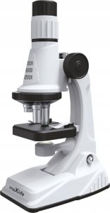 MaxLife  Maxlife microscope MXMS-100, white 1