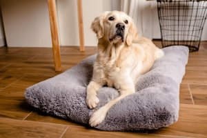 Mimikoko MIMIKO Pets Legowisko Shaggy prostokątne XXL 115x75cm szare 2