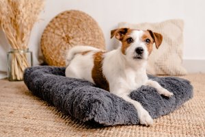 Mimikoko MIMIKO Pets Legowisko Shaggy prostokątne L 65x45cm grafitowe 2