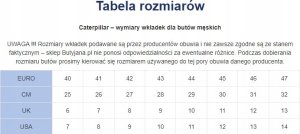 Buty trekkingowe męskie Caterpillar Caterpillar Intruder Galosh 2.0 Low WP P111554 Czarne 40 6