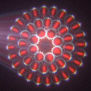 LIGHT4ME LIGHT4ME FIREFLY 230B głowica ruchoma BEAM 7R 6