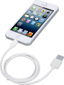Kabel USB Techly USB-A - Apple 30-Pin 1 m Biały (ICOC APP-8WH1) 2