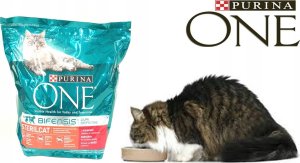 PURINA NESTLE PURINA ONE Sterilcat Wołowina 9,75kg 2