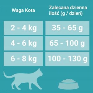 PURINA NESTLE PURINA ONE Sterilcat Wołowina 9,75kg 3