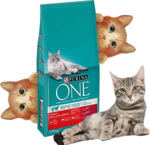PURINA NESTLE PURINA ONE Sterilcat Wołowina 9,75kg 6