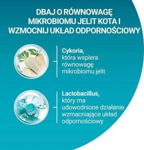 PURINA NESTLE PURINA ONE Sterilcat Wołowina 9,75kg 9